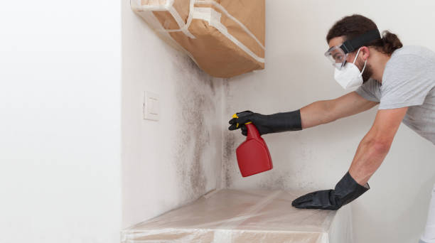 Professional Bathroom Mold Removal technician working in Riverton, NJ