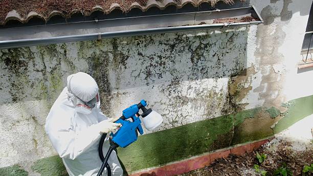 Trusted Mold Removal service in Riverton, NJ - Cheap Mold Removal